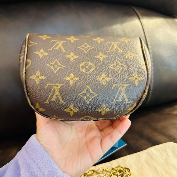 Louis Vuitton Mini Bumbag - Picture 11 of 16